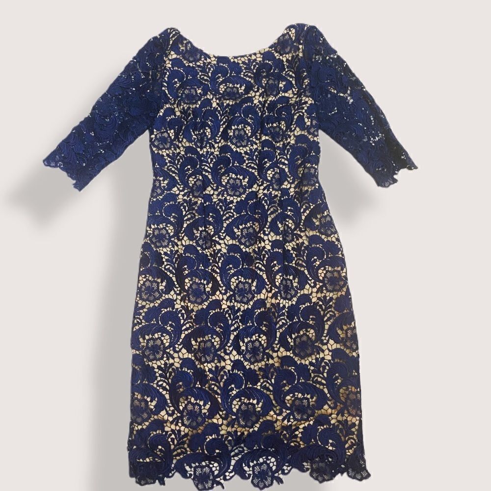 NWT Liza Luxe Dress
